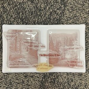 Glass Wall art or tray- local artist made